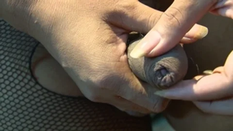 third world media movies: Transgressive Thrills with Jenny