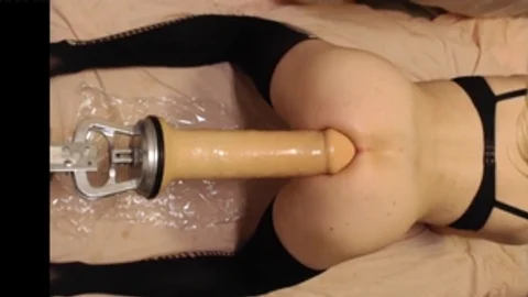 Taking once one greater quantity time My 14 Inch King cock not quite All In