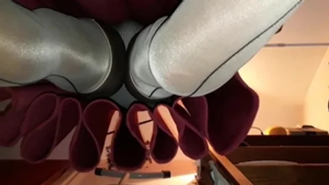 Red skirt pants & nylons 70FR81