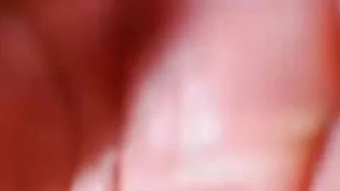 lovely Latin shemales Live Sex Show On Cruisingcams Com